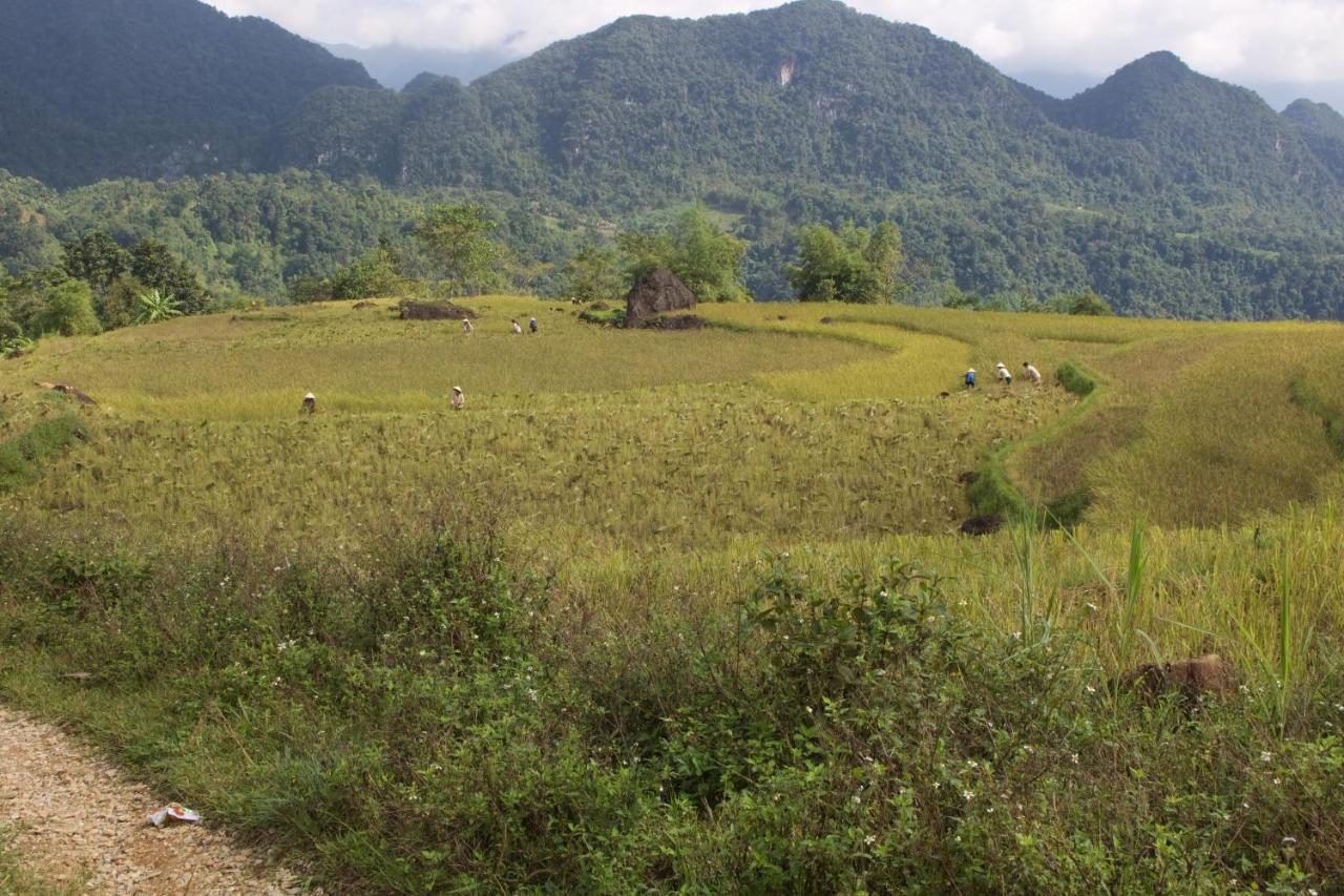 Meadow Mai Chau Homestay Luaran gambar